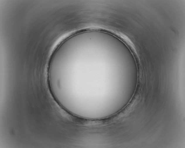 X0000113221183200909100916