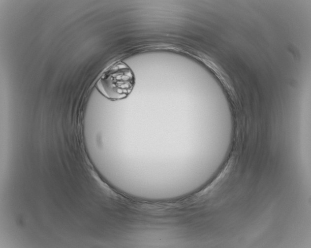 X0000113221185200909100916