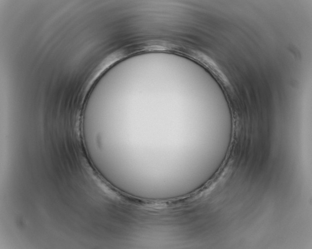 X0000113221186200909100916