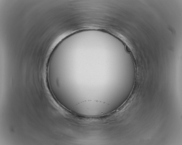 X0000113221187200909100916