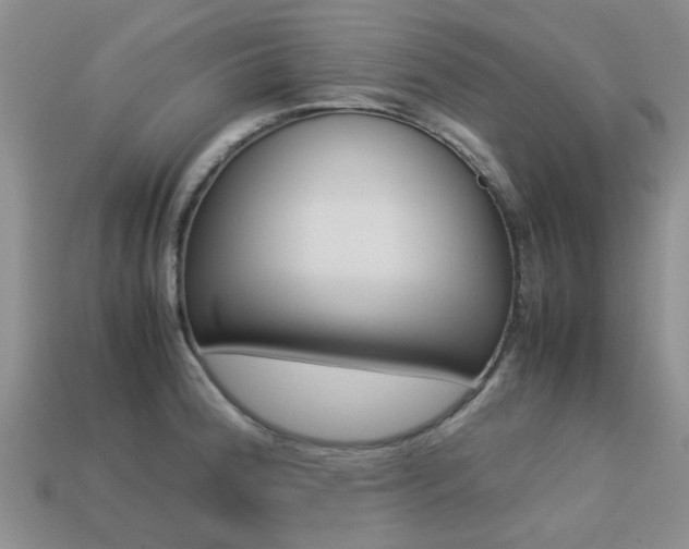 X0000113221188200909100916