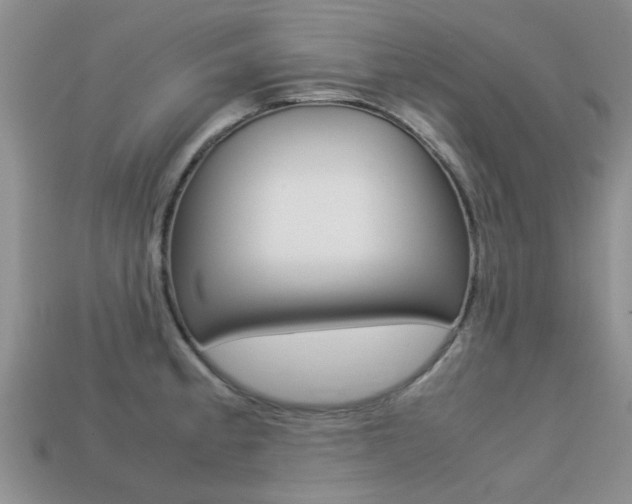 X0000113221189200909100916