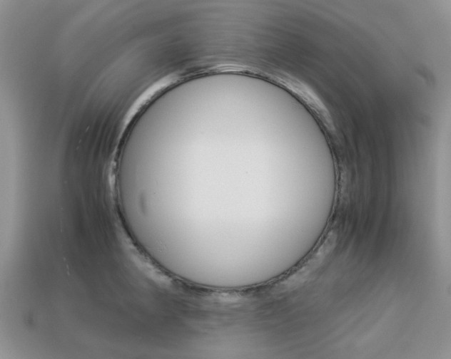 X0000113221190200909100916