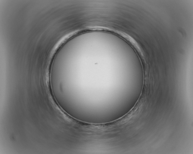 X0000113221191200909100916