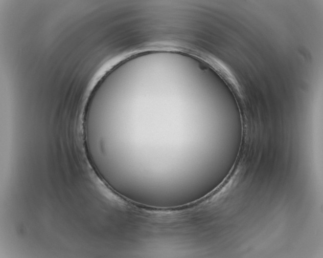 X0000113221192200909100916