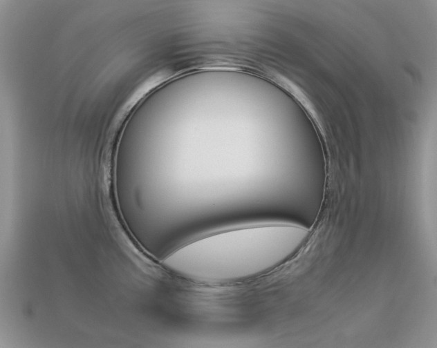 X0000113221195200909100915