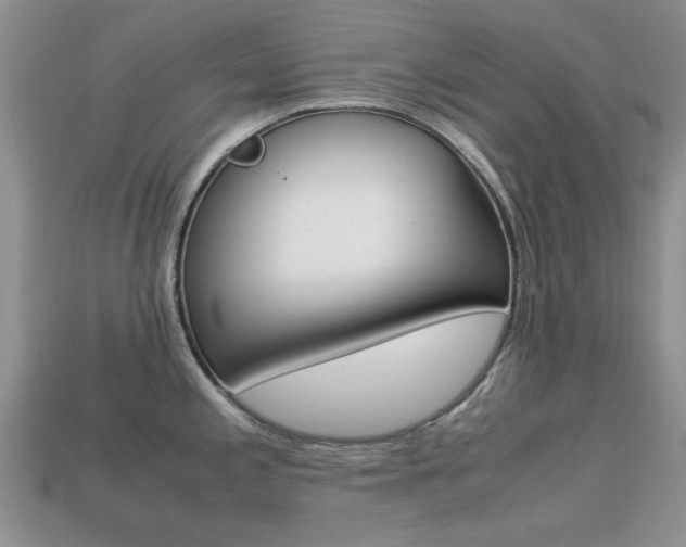 X0000113221197200909100915