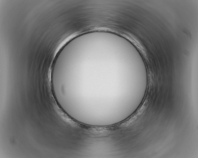 X0000113221198200909100915