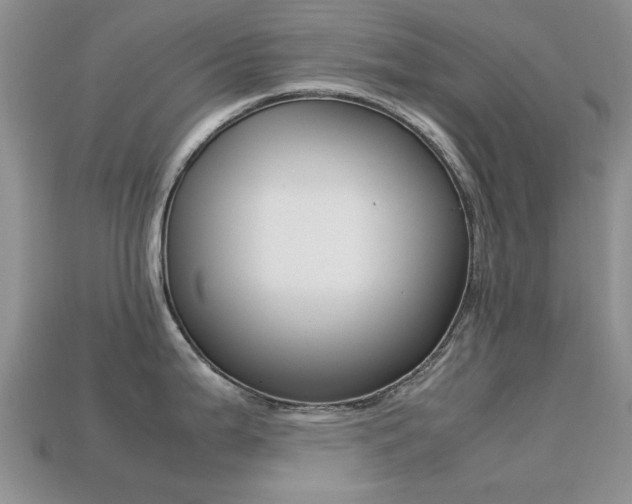 X0000113221199200909100915