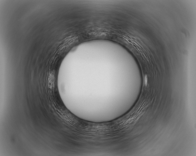 X0000113221203200909100915