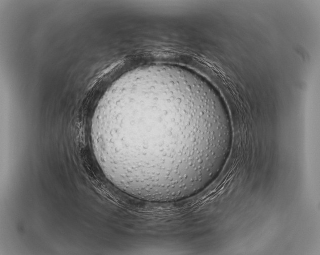X0000113221205200909100915