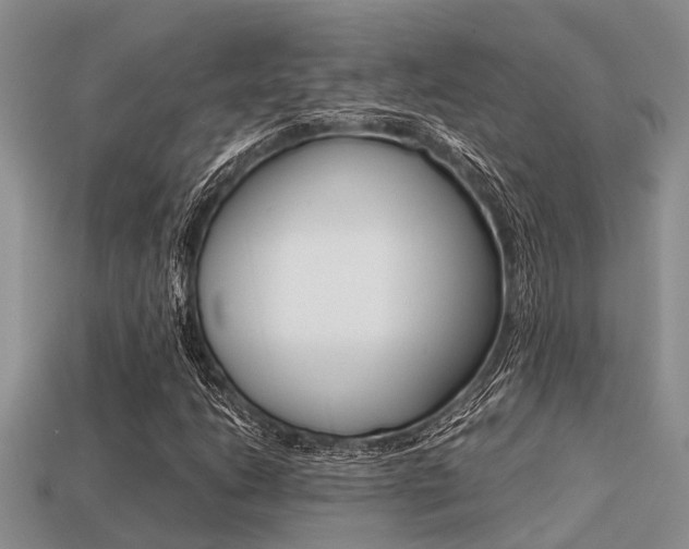 X0000113221206200909100915