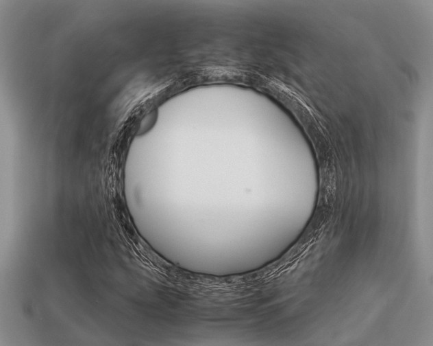 X0000113221207200909100915