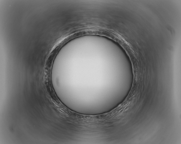X0000113221208200909100915