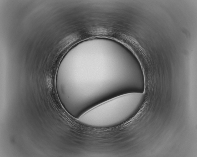 X0000113221209200909100915