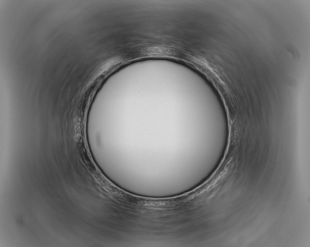 X0000113221211200909100915