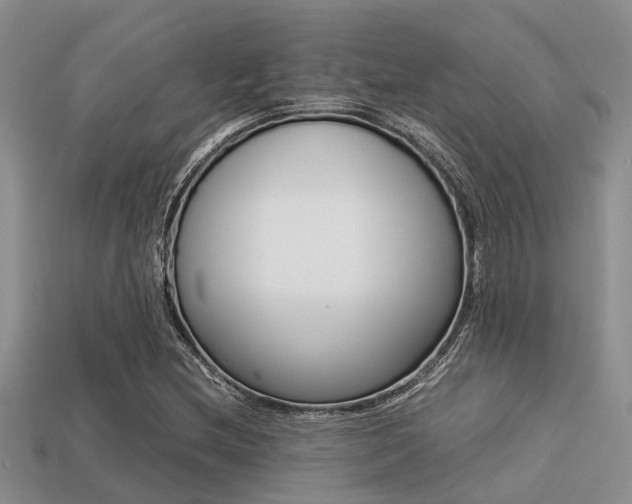 X0000113221212200909100915
