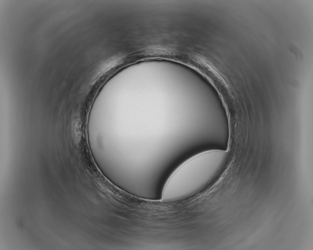 X0000113221213200909100915