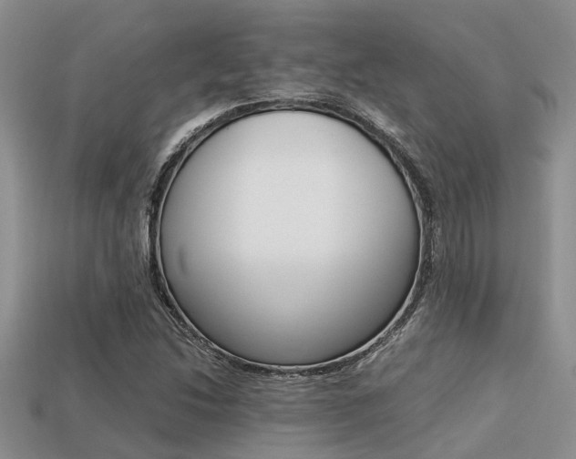 X0000113221214200909100915