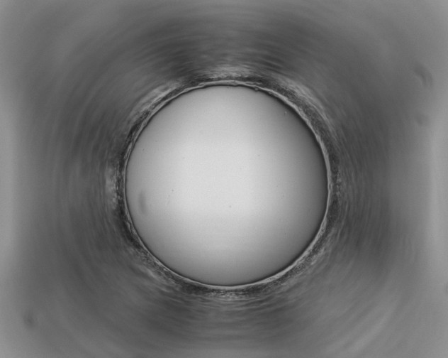 X0000113221217200909100915