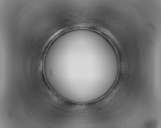 X0000113221220200909100915