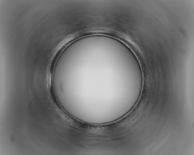 X0000113221221200909100915