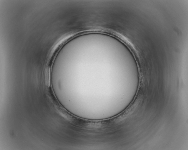 X0000113221223200909100915