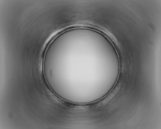X0000113221224200909100915