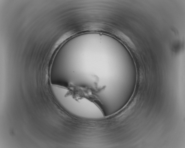X0000113221226200909100915