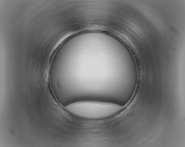 X0000113221228200909100915