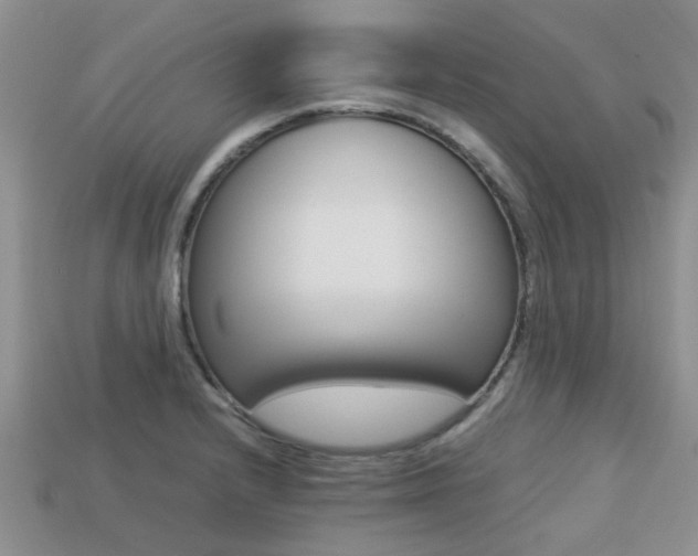 X0000113221232200909100915