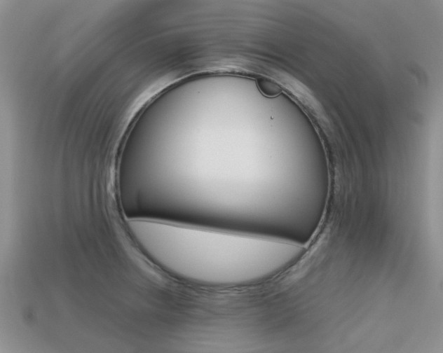 X0000113221234200909100915
