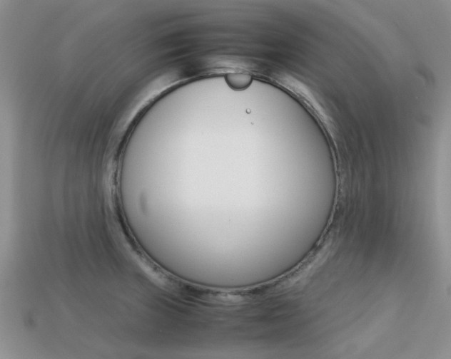 X0000113221235200909100915