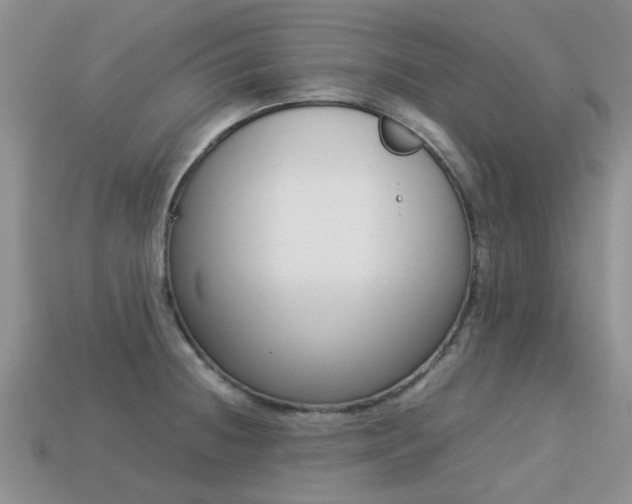 X0000113221236200909100915