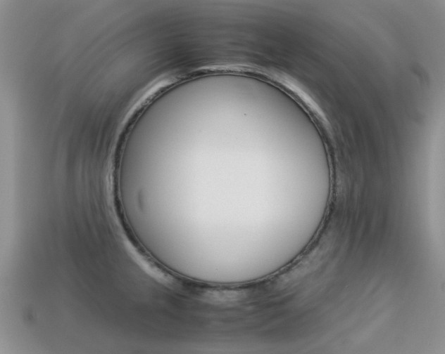 X0000113221237200909100915