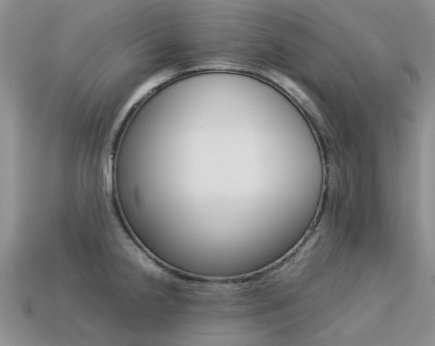 X0000113221238200909100915