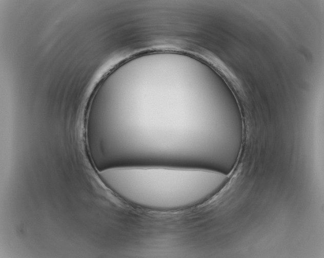 X0000113221240200909100915