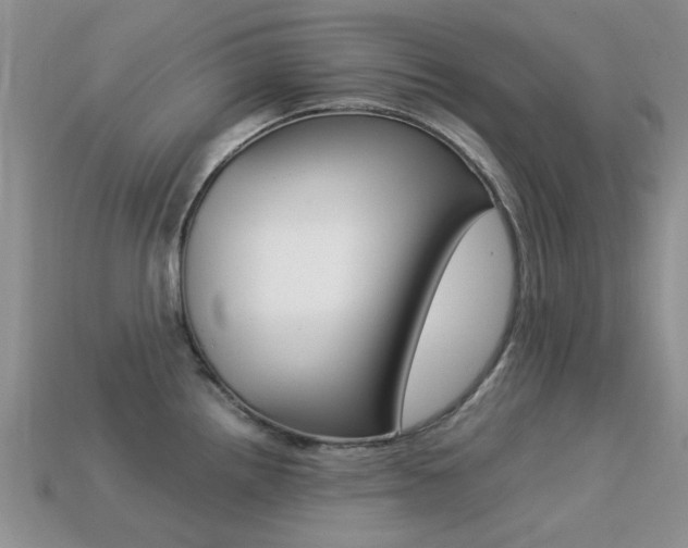 X0000113221242200909100915