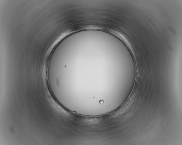 X0000113221243200909100915