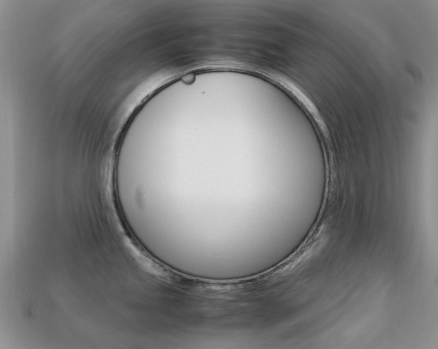 X0000113221245200909100915