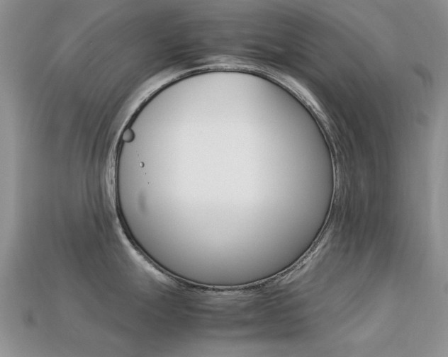 X0000113221247200909100915