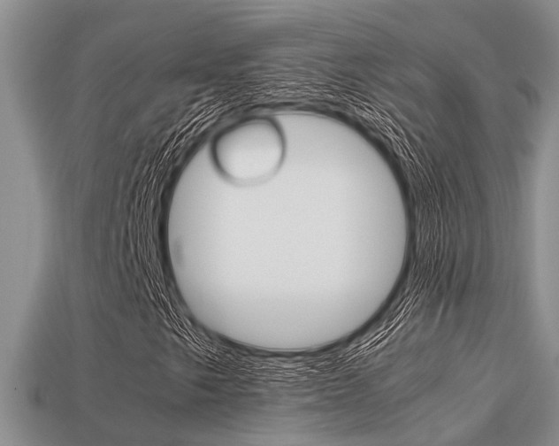 X0000113221249200909100915