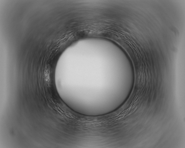X0000113221250200909100915