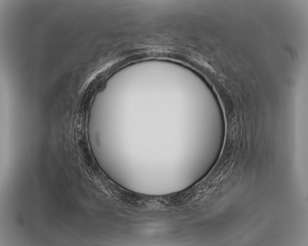 X0000113221255200909100915