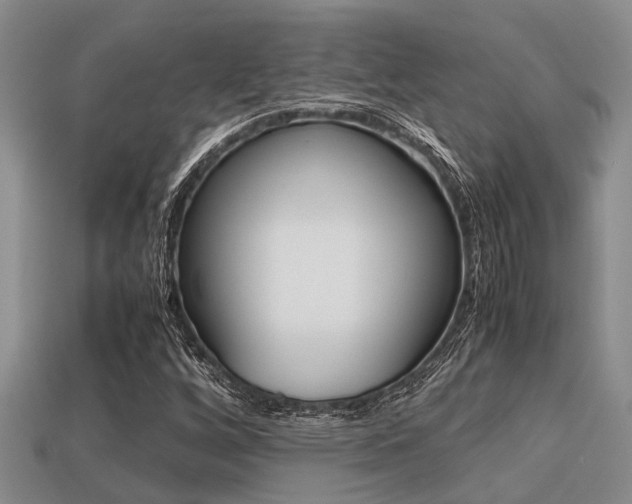 X0000113221256200909100915