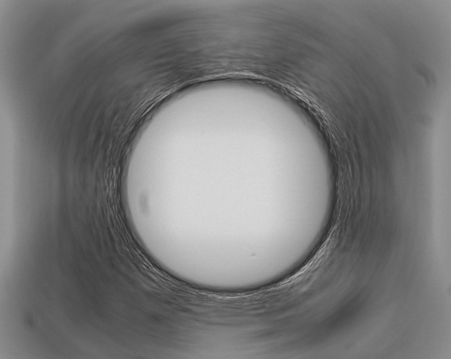 X0000113221257200909100915