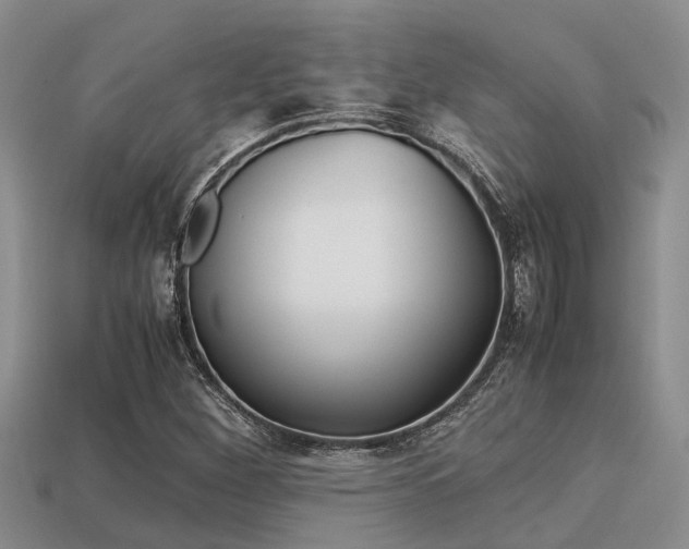 X0000113221260200909100915