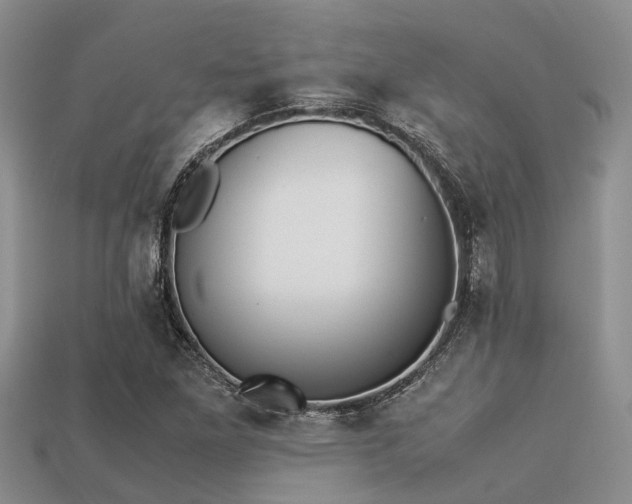 X0000113221261200909100915