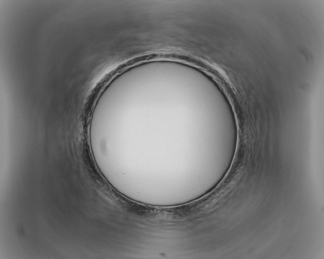 X0000113221263200909100915