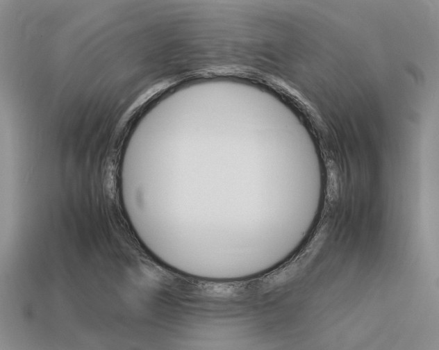 X0000113221266200909100915